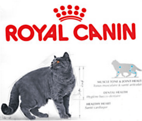 Royal-Canin Gratisprobe